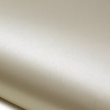 ROSEROSA Peel and Stick Brushed Faux Metal Architectural Film Self-Adhesive Vinyl Film Wallpaper Door Wrap Counter Top Border Mirror Molding Trim ED102