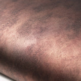 ROSEROSA Rust Faux Metal Architectural Film ET060 - Peel and Stick Self-Adhesive Vinyl Wrap for Office Renovation & Commercial Interiors