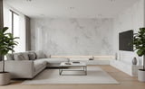 ROSEROSA Glossy Faux Marble Architectural Film PGS408 - Peel and Stick Self-Adhesive Vinyl Wrap for Kitchen Countertops & Cabinets