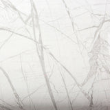 ROSEROSA Peel and Stick Glossy Faux Marble Architectural Film Self-adhesive Wallpaper Door Wrap Counter Top Border Mirror Molding Trim PGS4137